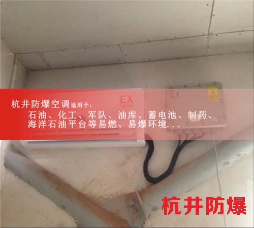 醫(yī)藥倉庫防爆空調(diào)機(jī)案例圖