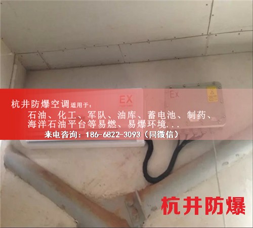 危險(xiǎn)品倉(cāng)庫(kù)防爆空調(diào)機(jī)案例圖